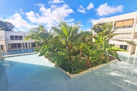 View from the patio on to the water feature