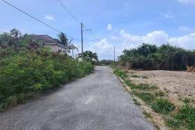 Streetscape facing North