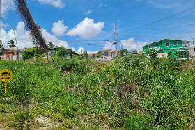 View of lot looking South