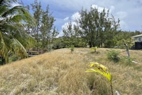 Lot facing south