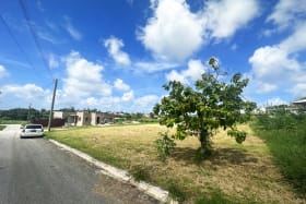 View of the lot from the street