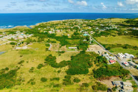 Aerial view from the back of the property and neighbouring properties