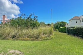 Back of property starts at the Tree