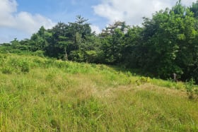 View of lot looking East towards Gully