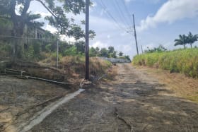 View of access road looking West