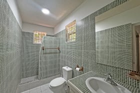 Ground level guest bathroom