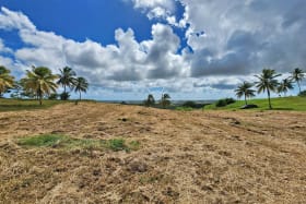 View from the developer's private road