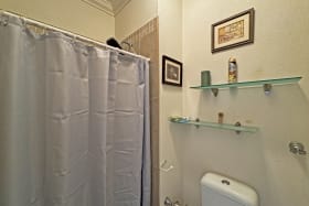 Guest bathroom