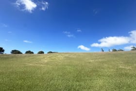Elevated large plot in a desirable neighbourhood