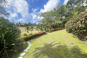 Spacious tropical garden