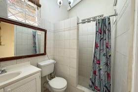 Annex bathroom