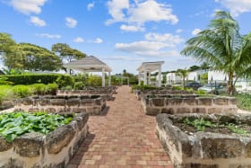 Communal gardens