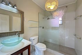 Guest bathroom 2