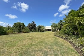 Spacious garden