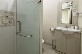 En Suite Shower to Apt