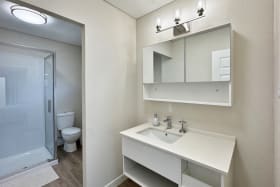 Primary en-suite bathroom