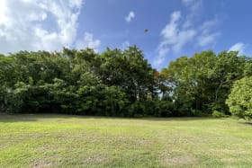 View of land looking south