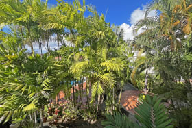 View from the balcony