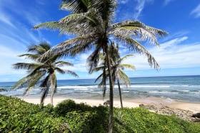 East Coast Sea Views in Barbados