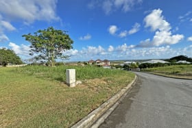 Streetscape View of Lot