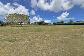 Level lot in Royal Westmoreland