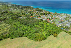 View of site looking west