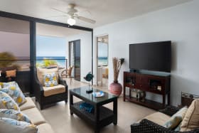 Living Room & Patio View