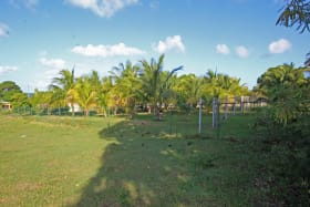 Views of the site