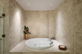 Primary bathroom tub