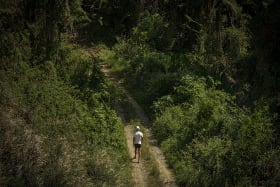Hiking and walking trail