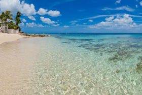 Beautiful swimming