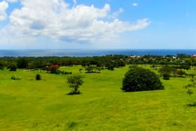 Ocean View