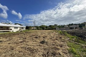 Large Lot in Great Neighbourhood