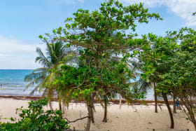 View of beach at site
