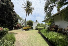 Lush, tropical garden