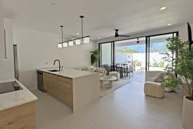 Kitchen and living area