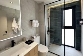 Second Guest bathroom suite