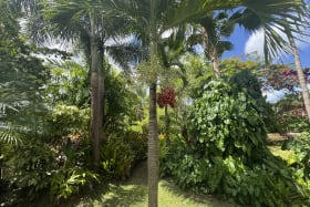 Landscaped garden