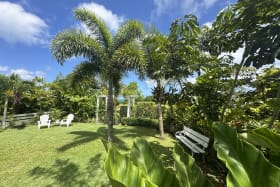 Lovely landscaped lawn and garden