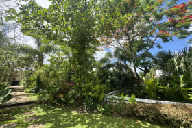 Mature trees and shrubs