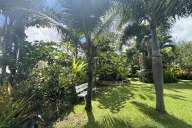 Mature trees and garden