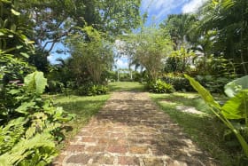 Foot path leading to the lawn