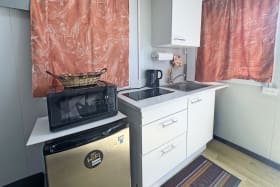 Microwave and fridge