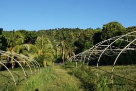 Groundshot of greenhouses