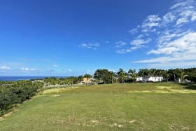 North View from Lot