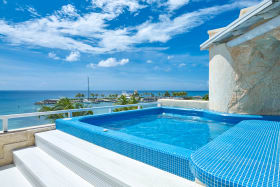 Roof deck with covered space, bar, BBQ and plunge pool