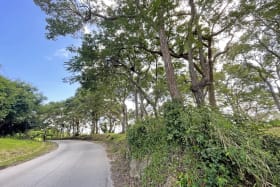 Porters Road adjacent to Westmoreland Plantation