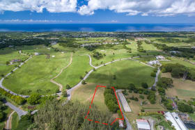 Aerial Shot