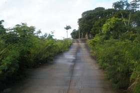 View of development road looking south