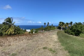 Bathsheba Land